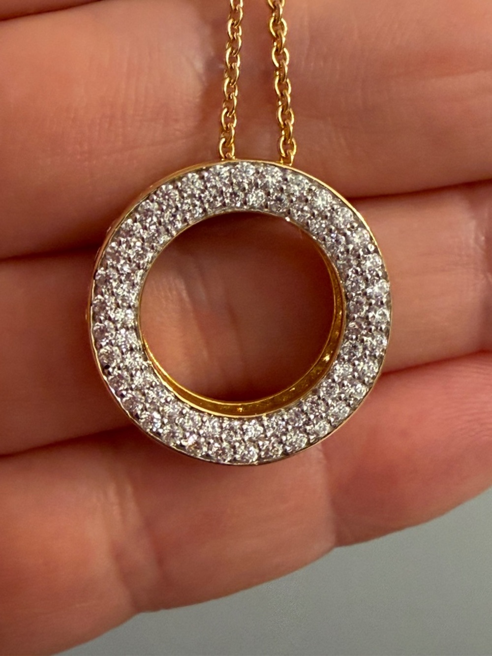 HSN/Absolute Necklace